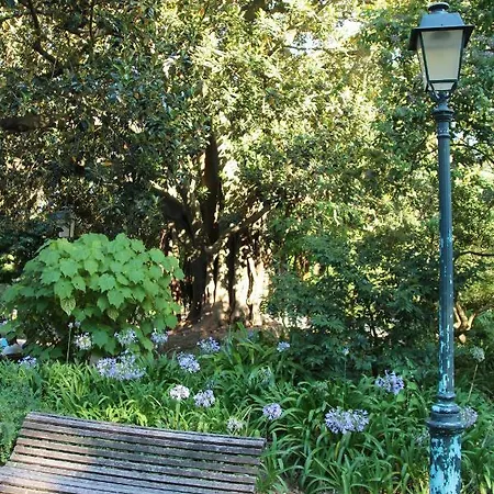 Estrela Penthouse - Amazing Views Appartement