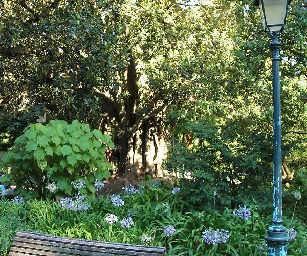 Estrela Penthouse - Amazing Views 公寓